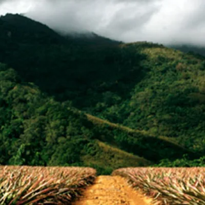 Estudios de Impacto Ambiental